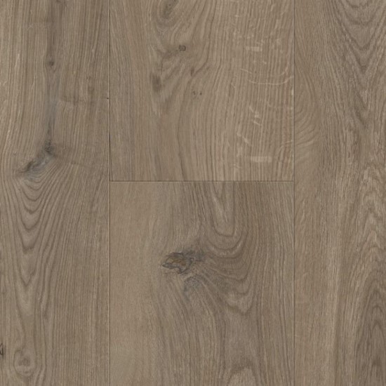 Gyant XL Dark Brown