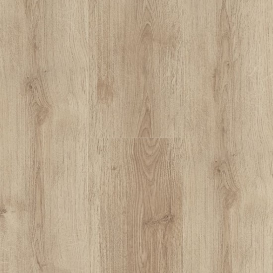 White Oiled Oak