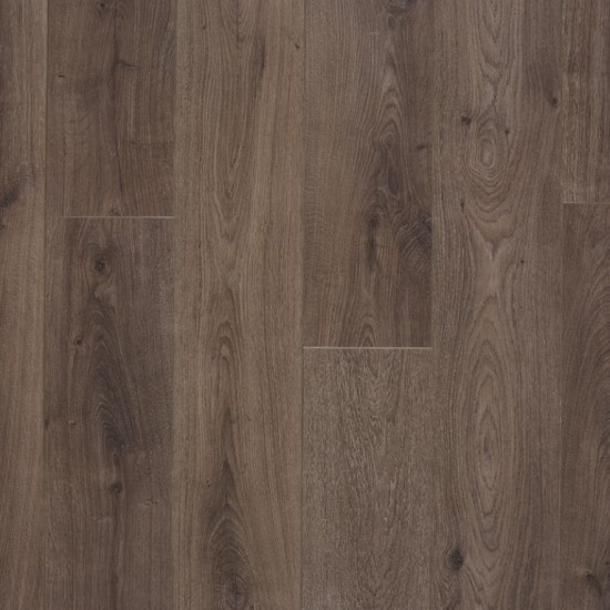 Crush Dark Brown