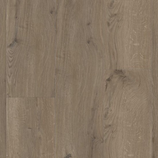 Gyant XL Dark Brown