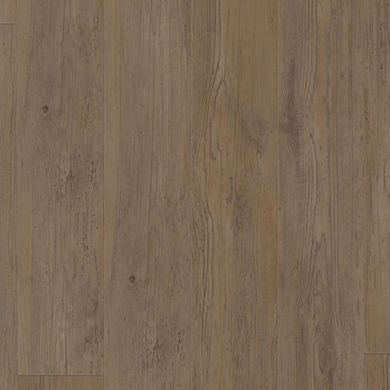Legacy Pine BROWN