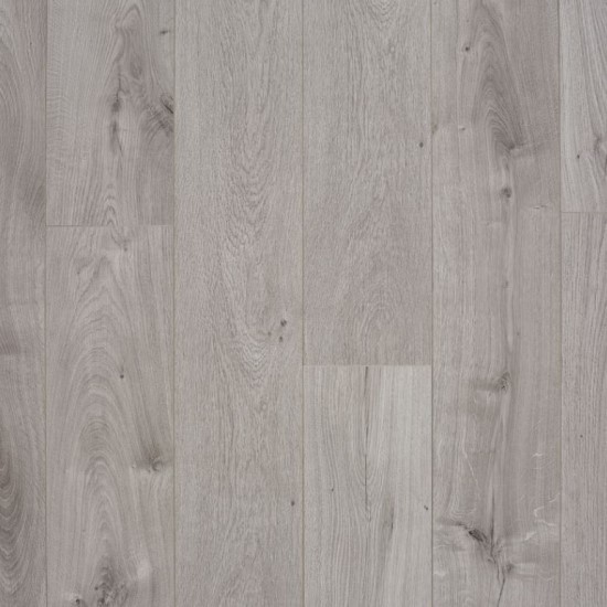 Crush Grey