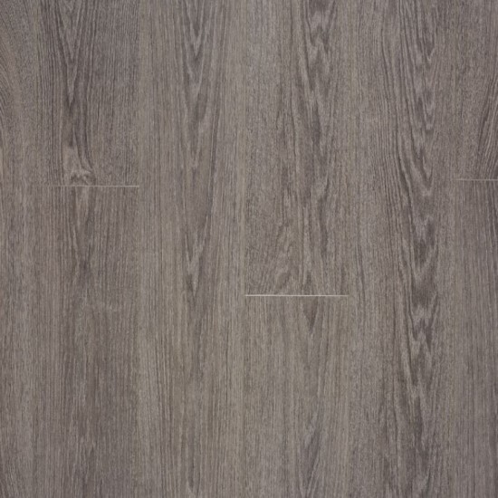 Charme Dark Grey