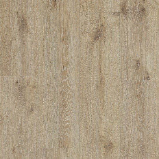 Jacinta Oak