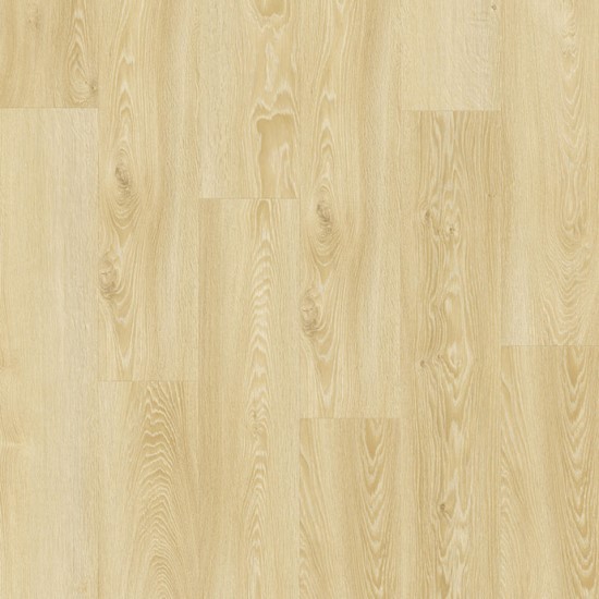 Modern Oak CLASSICAL