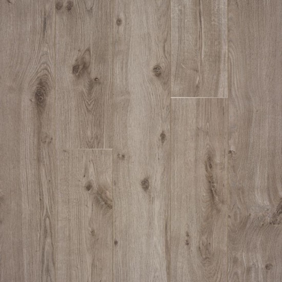 Spirit Light Brown
