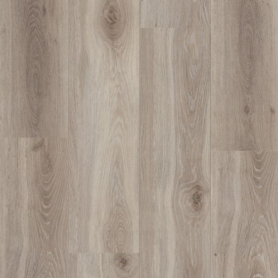Trondheim Oak