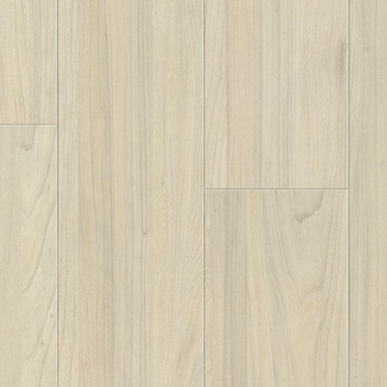 Elm Light