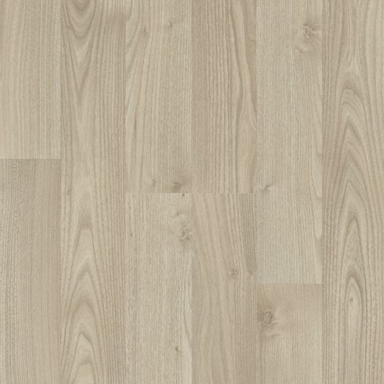 White Oak 2 str