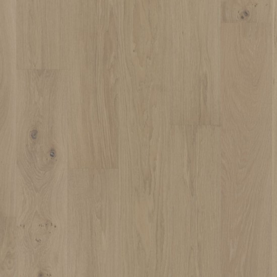 Eiche Naturel 01 Lagune