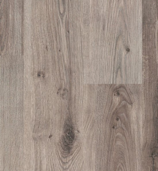 Spirit Grey