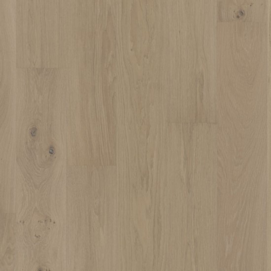 Eiche Naturel 01 Lagune