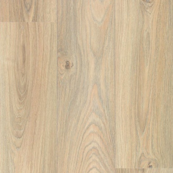 Canyon Light Oak