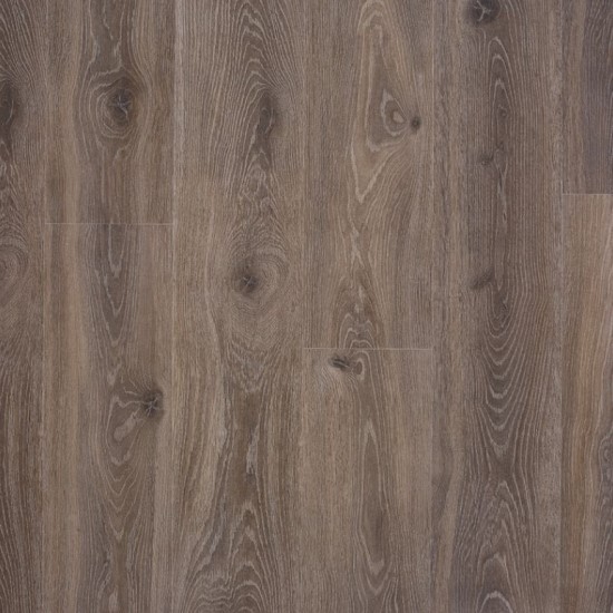 Bloom Dark Brown
