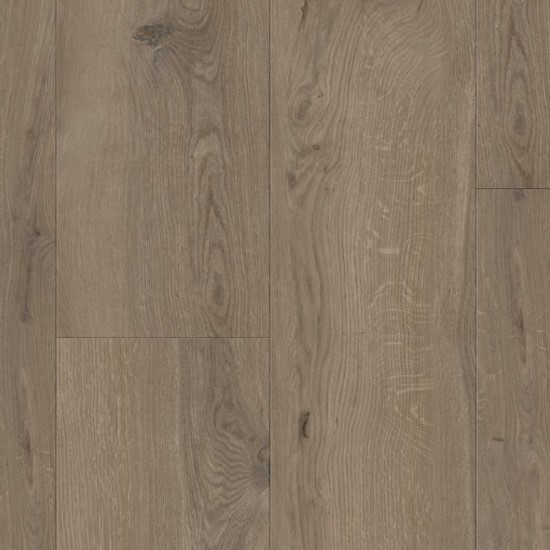 Gyant Dark Brown