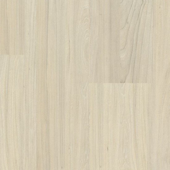 Elm Light
