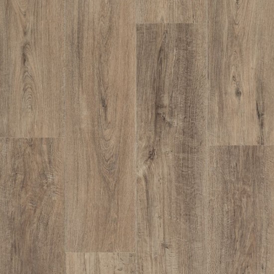 Bond Oak