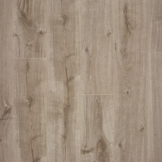 Spirit Light Brown