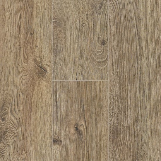 Oslo Oak