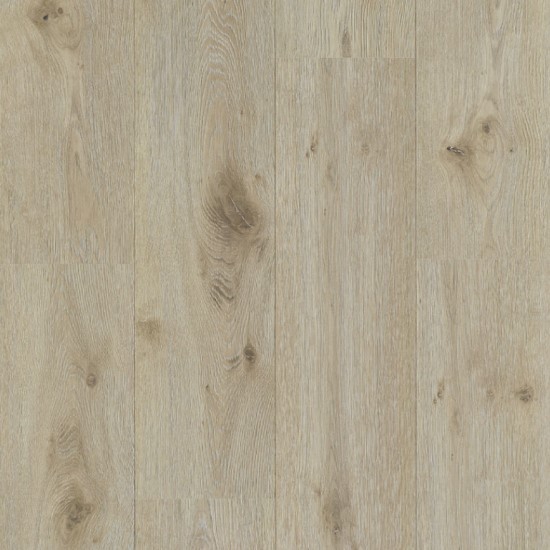 Beverly Oak