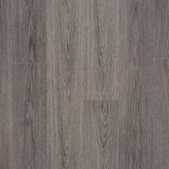 Charme Dark Grey